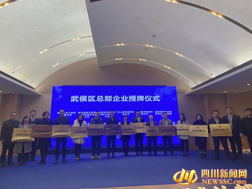 数字创新驱动区域合作新篇章 武侯总部经济高峰论坛暨中匈数字贸易对话会在蓉成功举办